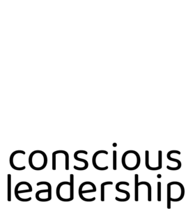 Logo V&B Consulting