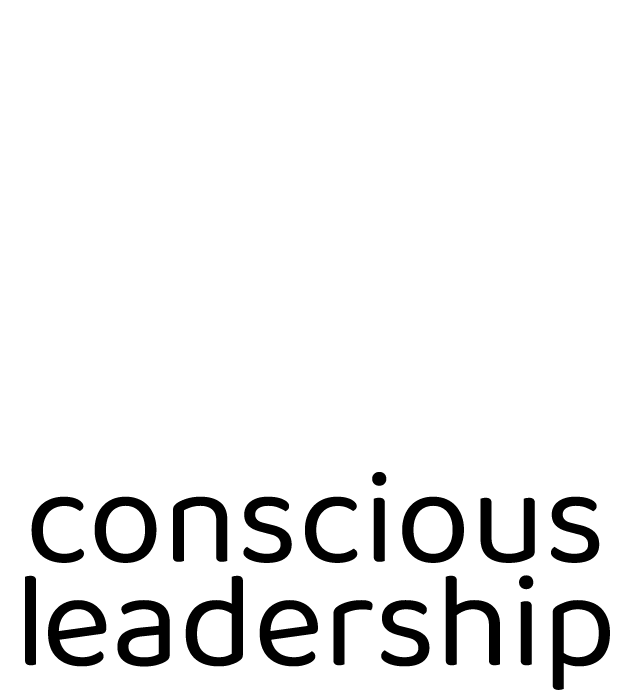Logo V&B Consulting