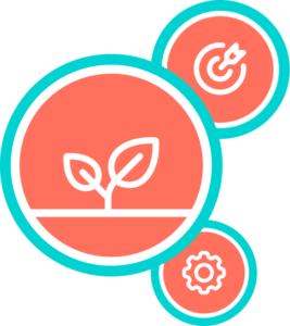 Origins - V&B Consulting